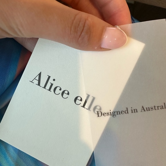 Alice Elle dress from Hello Molly. Size medium. - Picture 4 of 4